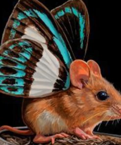 Butterfly Mouse paint by numbers