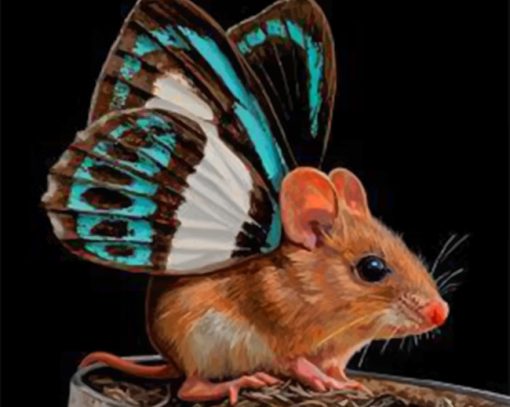 Butterfly Mouse paint by numbers