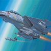 Aesthetic F14 Paint by numbers