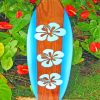 Aesthetic Surfboard paint by numbers