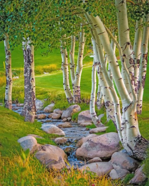 Aesthetic Aspen Trees paint by numbers