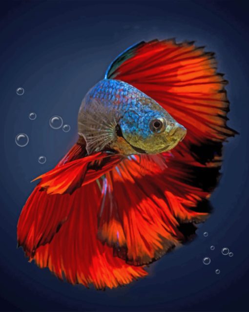 Aesthetic Betta Fish Paint