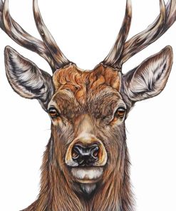 Aesthetic Deer Head Paint by numbers