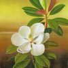 White Magnolia paint by numbers