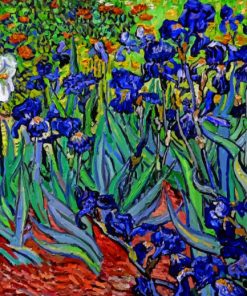 Aesthetic Van Gogh Irises paint by numbers