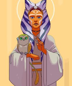 Ahsoka Tano Holding An Owl paint by numbers