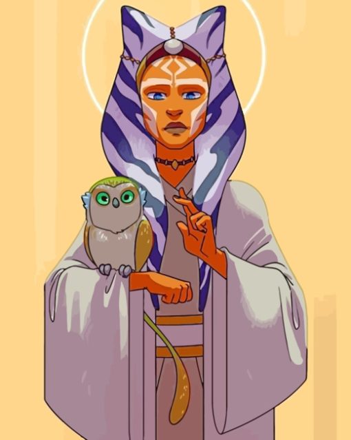 Ahsoka Tano Holding An Owl paint by numbers