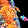 Aquarium Clownfish paint by numbers