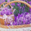 Lavender Basket Paint by numbers