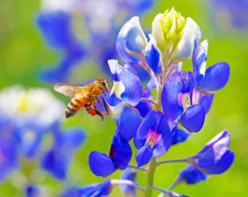 Bee On A Bluebonnet Paint by numbers