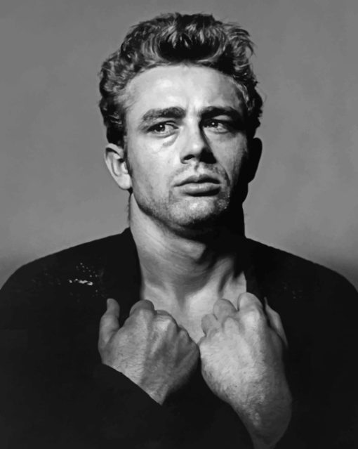 Black And White James Dean paint by numbers