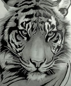 Monochrome Tiger paint by numbers