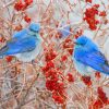 Blue Birds Paint by numbers