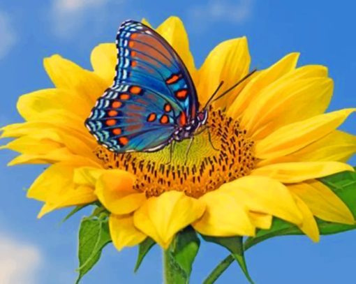 Blue Butterfly On Sunflower Paint by numbers