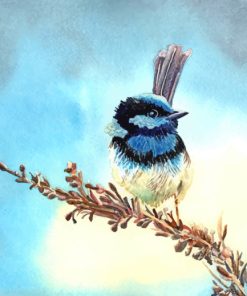 Blue Fairy Wren Paint by numbers