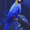 Blue Parrot Paint by numbers