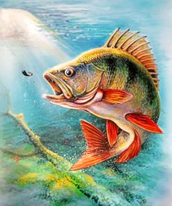 Carp Fish paint by numbers