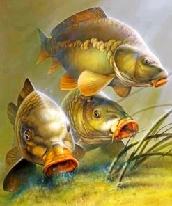 Carp Fishes Paint by numbebrs