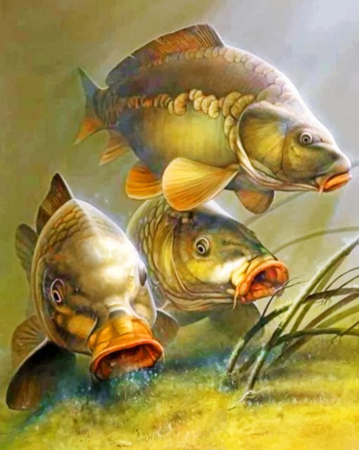 Carp Fishes Paint by numbebrs