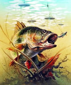 Carp Fish Paint by numbers