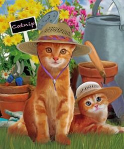 Cats Wearig Sunhats Paint by numbers