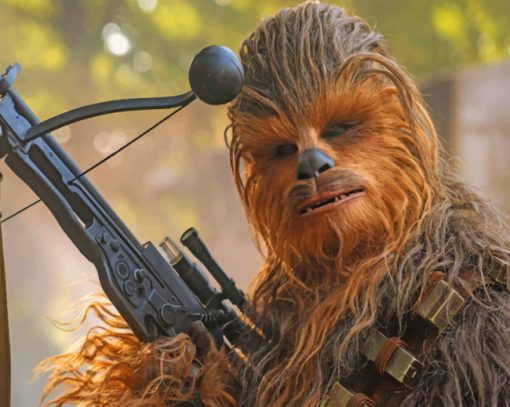 Chewbacca Star War Paint by numbers