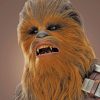 Chewbacca Paint by numbers