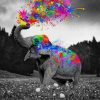 Colorful Elephant paint by numbers