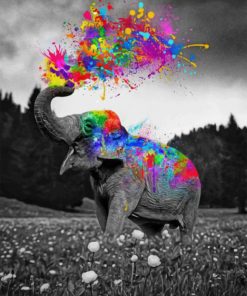 Colorful Elephant paint by numbers