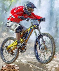 Cool Mountain Biker paint by numbers