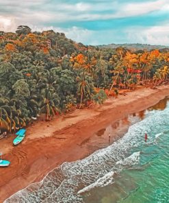 Palms Trees Of Costa Rica paint by numbers