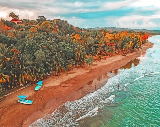 Palms Trees Of Costa Rica paint by numbers