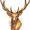 Deer Head paint by numbers