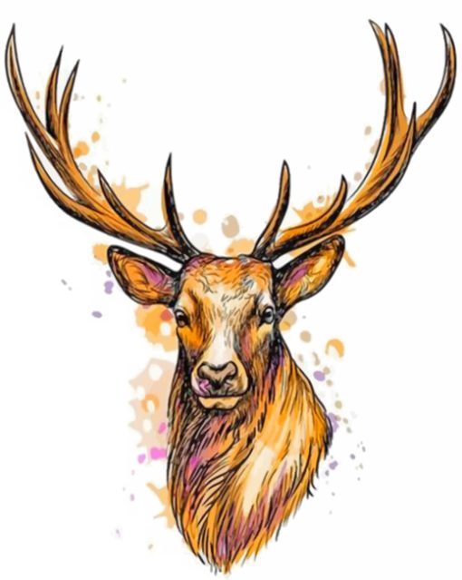 Deer Head paint by numbers