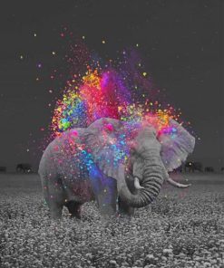 Elephant And Colors Paint by numbers