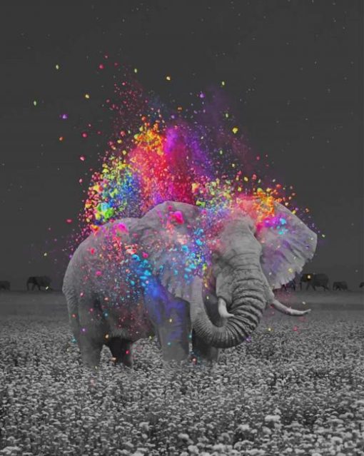 Elephant And Colors Paint by numbers