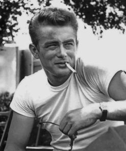 Enigma Of James Dean paint