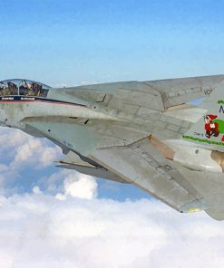 F14 Airplane Paint by numbers