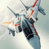 F14 Airplane Paint by numbers