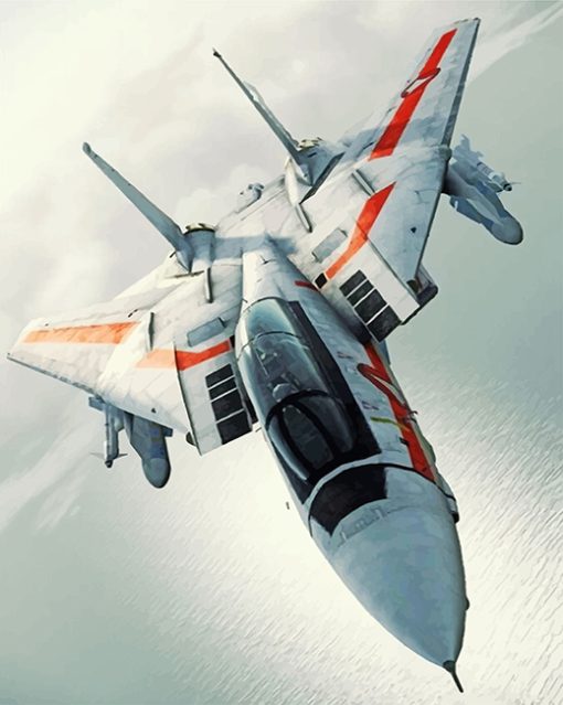 F14 Airplane Paint by numbers