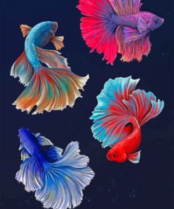 Betta Fish Vector paint by numbers