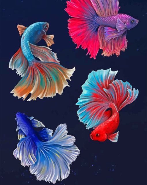 Betta Fish Vector paint by numbers