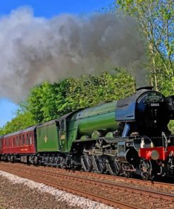 Flying Scotsman Train Paint by numbers