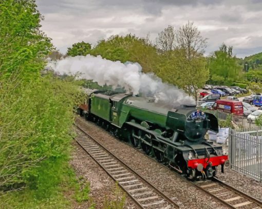 Flying Scotsman Train Paint by numbers