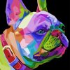 French Bulldog paint by numbers