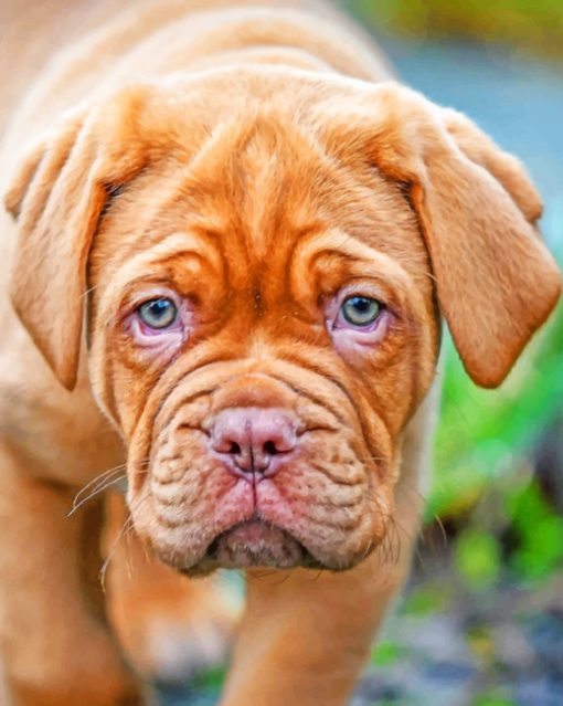 French Mastiff Piant by numbers