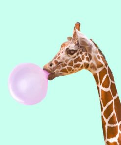 Giraffe Blowing Bubble Paint by numbers