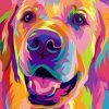 Golden Retriever Paint by numbers