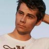 Handsome Dylan O Brien paint by numbers