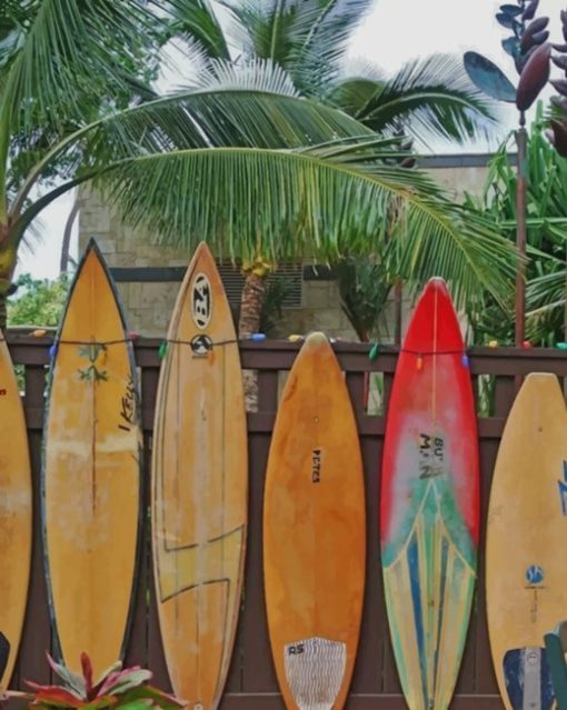 Hawaii Surfboard Paint by numbers